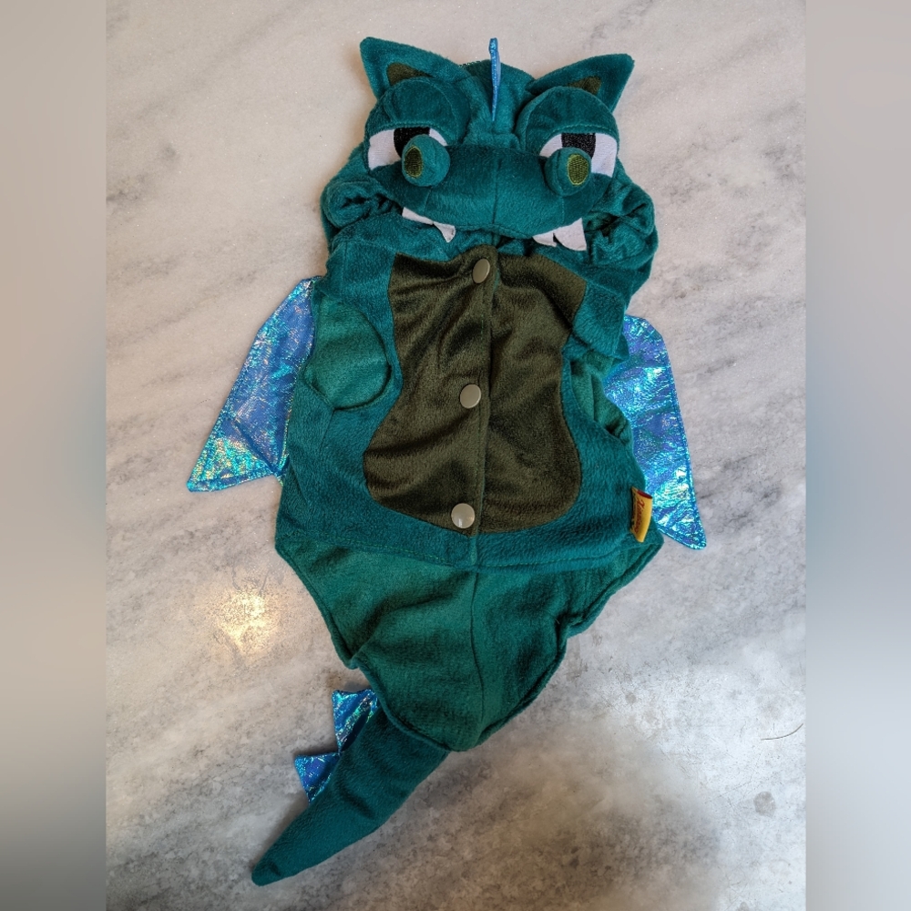 Dragon Dog Costume